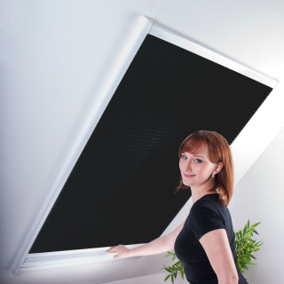& Dachfenster-Plissee € - Fliegengitter Kombi Kombipli, 68,99 Sonnenschutz